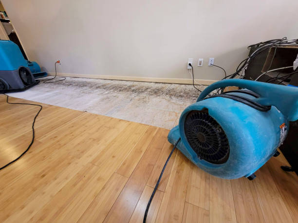 Professional Water Damage Repair technician working in Georgetown, CO